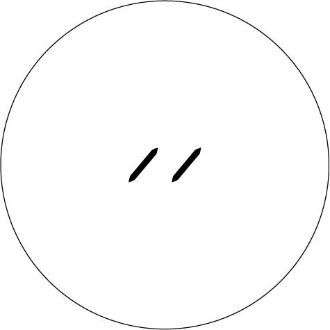 Writer: Laeuer Studio