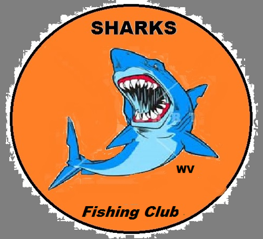 SHARKS FC circle grey-18.png