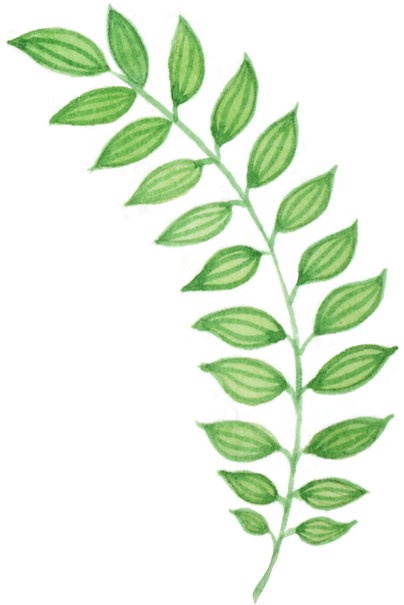 5.png