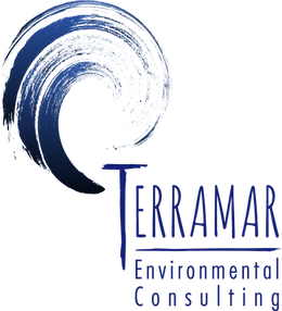 Projects Terramar