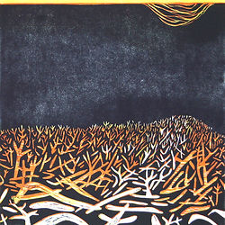 'Bleached' by Kate Wall