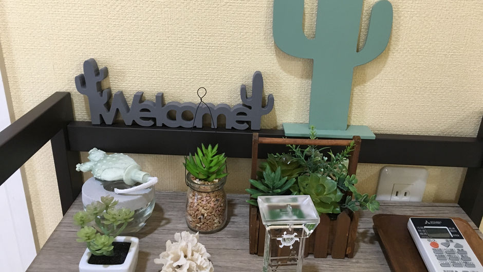 201　サボテンの部屋