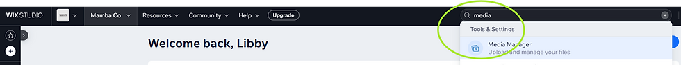 Wix Studio dashboard circling the location of the search bar and Media Manager