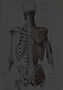 Braus_1921_127_edited.jpg
