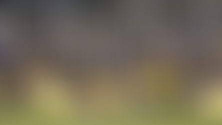 Résumé des matchs de la 8e semaine