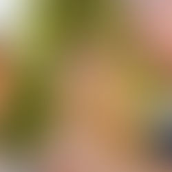 Strategies for Teen Substance Abuse Intervention