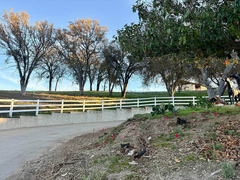 Higher Grounds Mgmt Digital Detox.heic