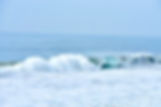 Higher Grounds Mgmt Hermosa Beach