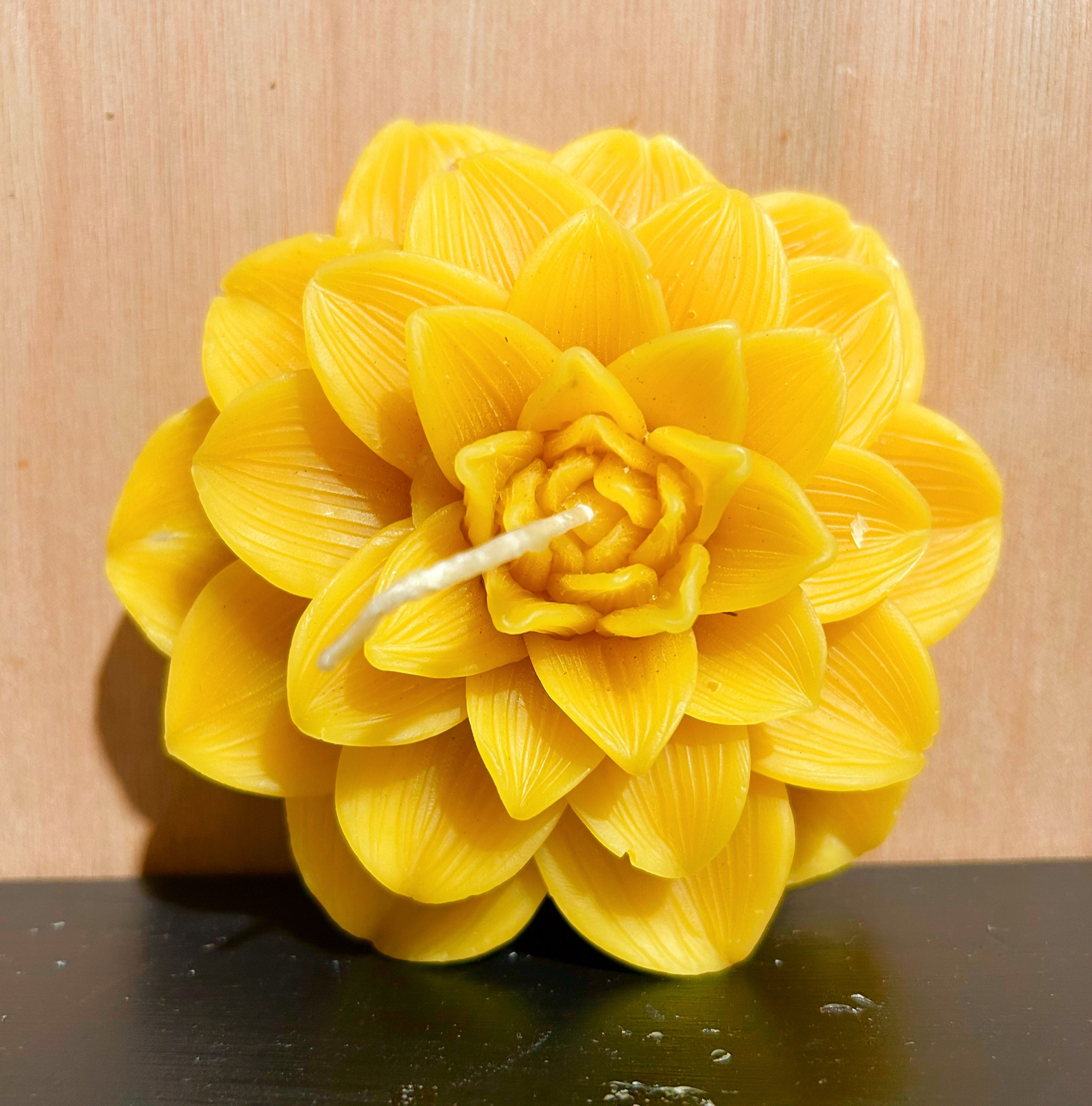 Beetopia NZ 100% Pure Beeswax Candle: Michelle