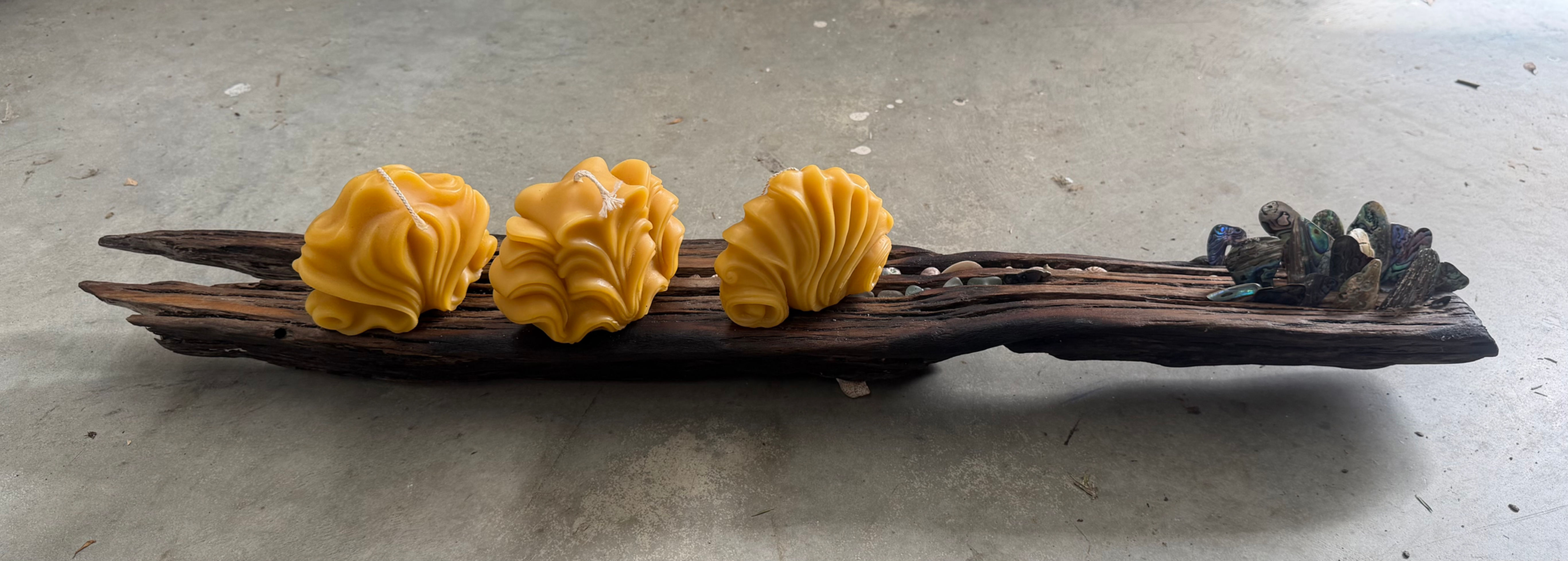 Driftwood Waka