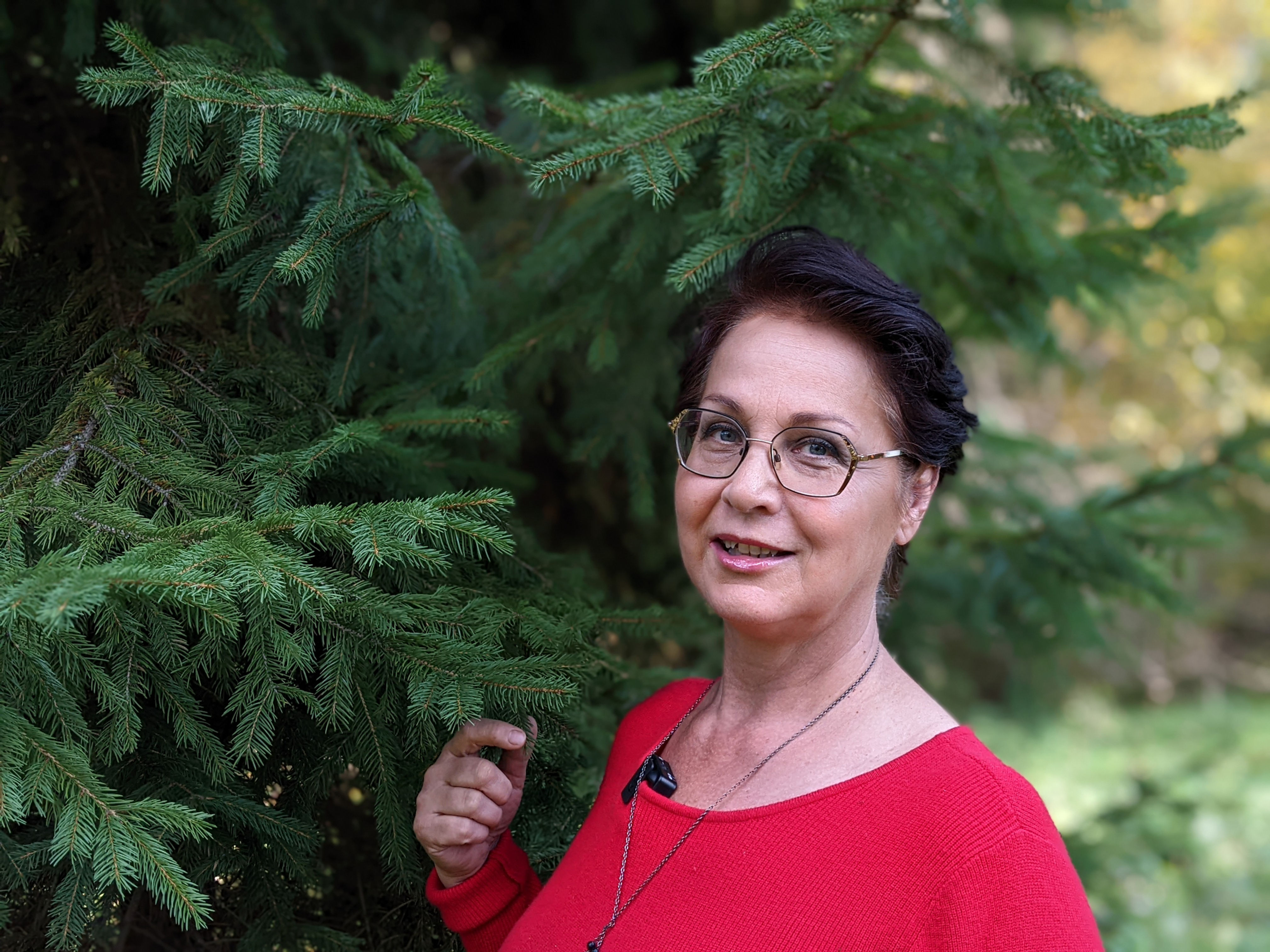 Bylinky v zime: zimná pohoda s bylinkami (online kurz)