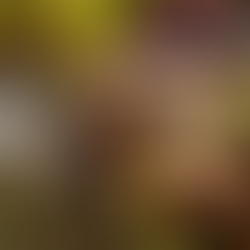 Prevencia zápalov močových ciest: Tradičná čínska medicína a bylinky