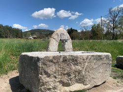 338337557_228016673224337_1875989166725678799_n