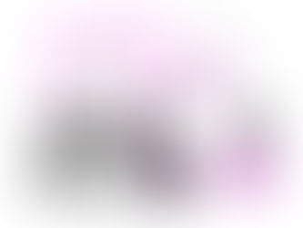 ADC nº 81 volta a ser julgada em outubro no STF: o que está em jogo para as IES