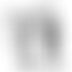 A Lei nº 19.722/2026: o ataque às cotas em Santa Catarina