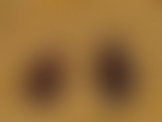 Es posible encontrar chinches en el trasporte público?