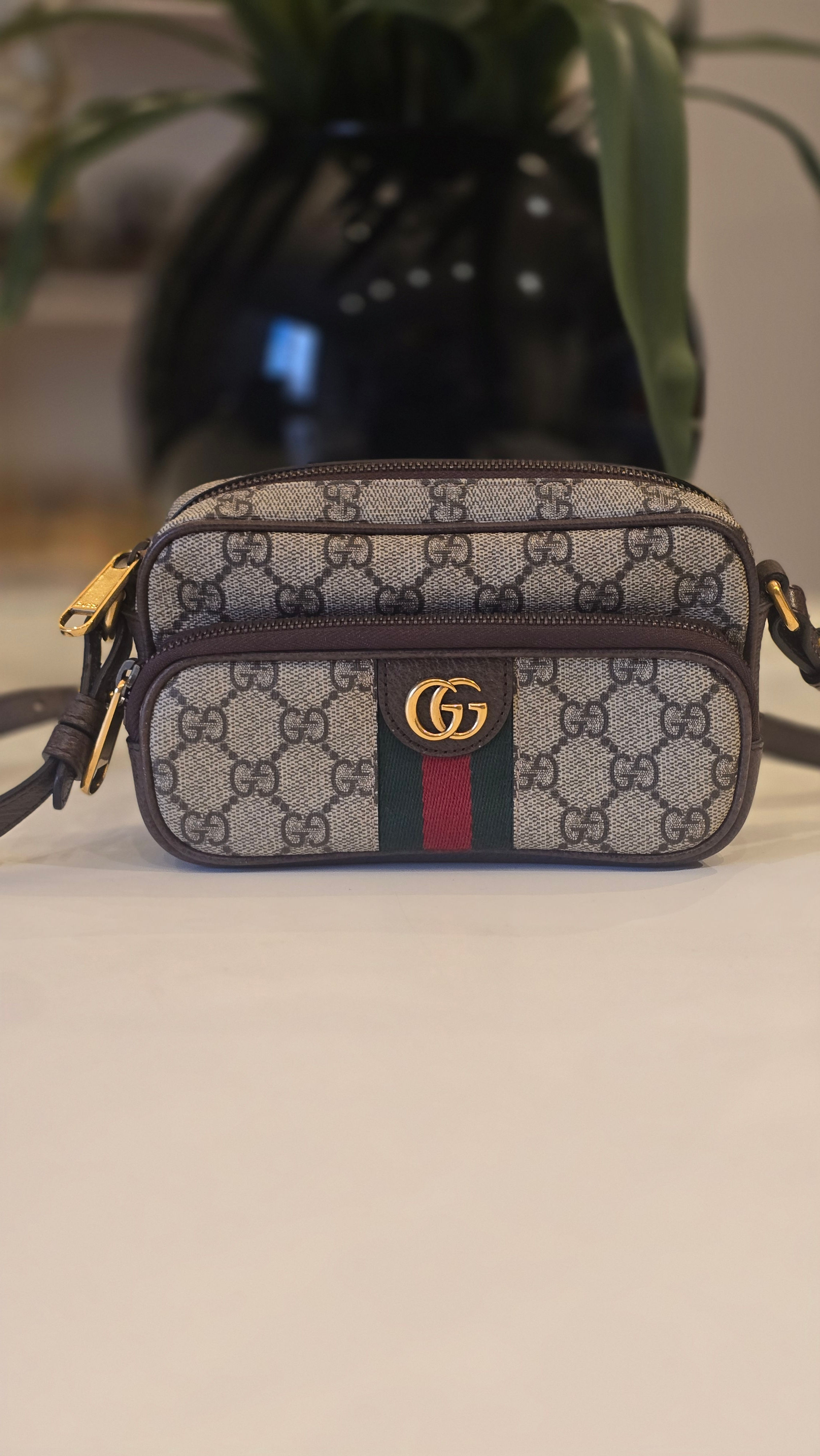 Bolsa Gucci Ophidia 