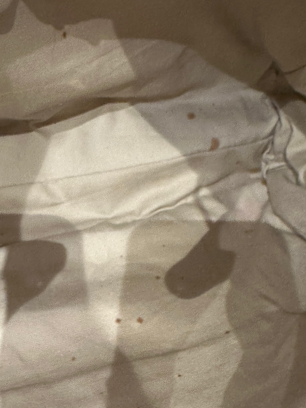 Miniatura: Bolsa Tory Burch 