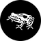 Frog design.png