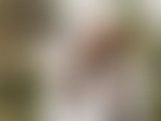LCTA eRoar, April 22, 2020