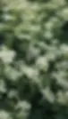 9889ad1c77ac123c5323bf5dbaf208f5.webp