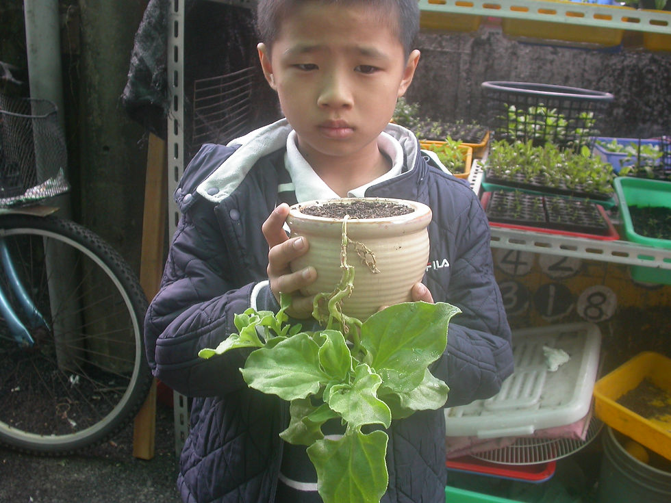 DSCN6057.JPG
