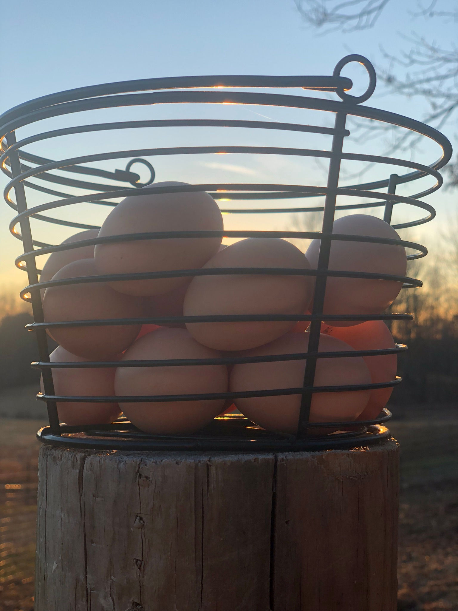 Eggs