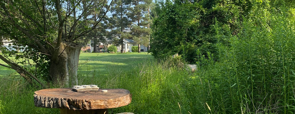 A collection of meadow scenes—winding paths, native plants, and vibrant wildflowers in bloom.