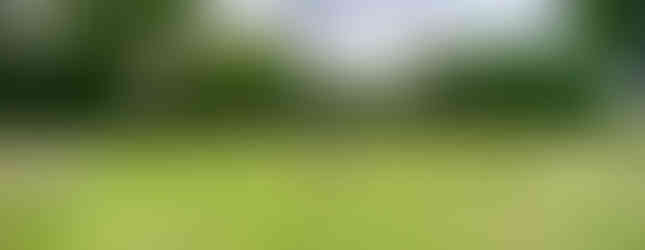 A circular clearing in the meadow designed for yoga, meditation, and community gatherings, surrounded by tall grasses.