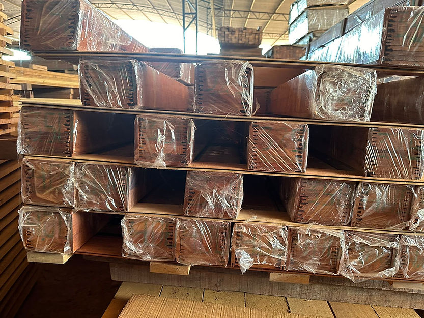 WhatsApp Image 2024-09-23 at 15.33.21.jpeg