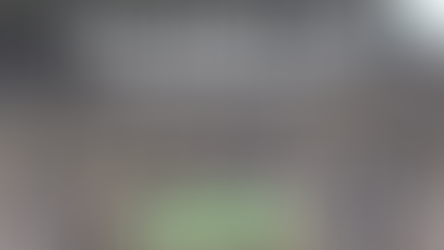 The Impact of Deforestation on Carbon Emissions