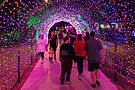 Halloween26_Weekend1-103.jpg
