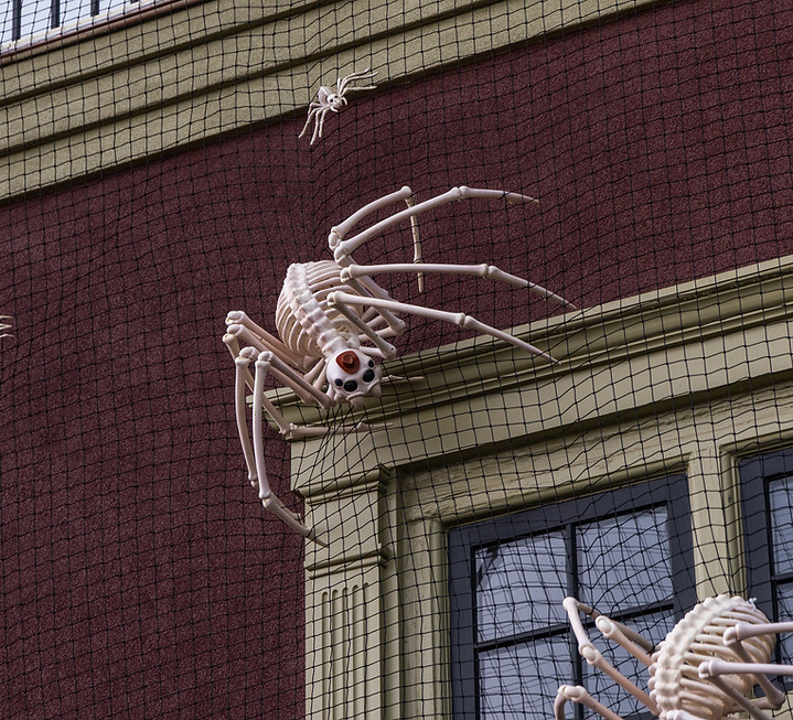 A skeleton spider wearing a cowboy hat