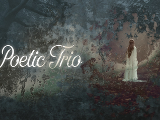 Poetic Trio ā Xbox Review