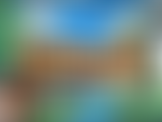 Cozy Gaming Meets Birdwatching in Birdseed VR!