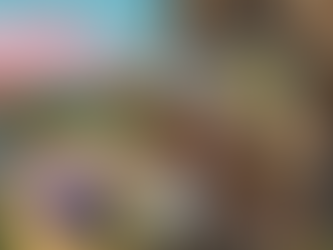 A Soft, Slow Adventure: Cozy Caravan’s Heartfelt Road Trip