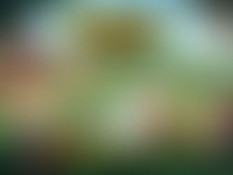 Prepare for harvest! Life in Willowdale: Farm Adventures reaches Gold Master and locks in late Septe