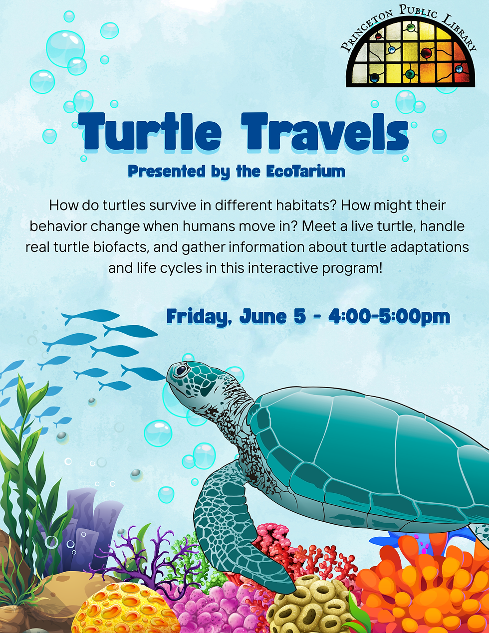 Turtle Travels presented by the EcoTarium