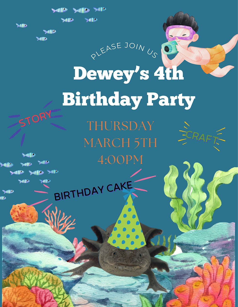 Dewey's 4th Birthday Party