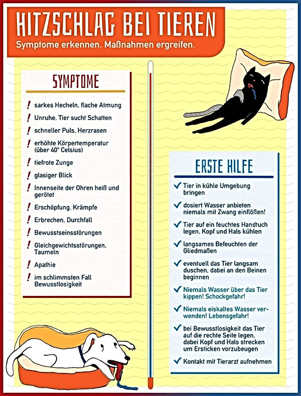 Hitzschlag.jpg