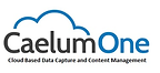 CaelumOne.png