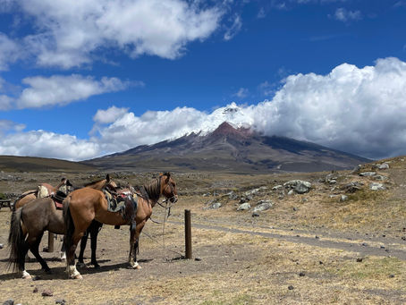 Cotopaxi, Ecuador