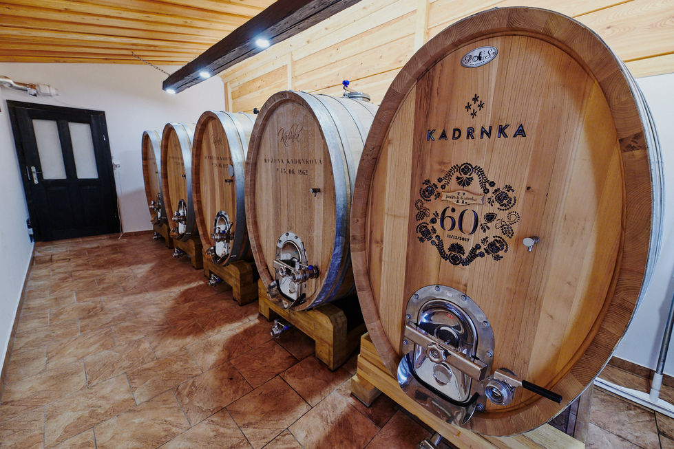 kadrnka2