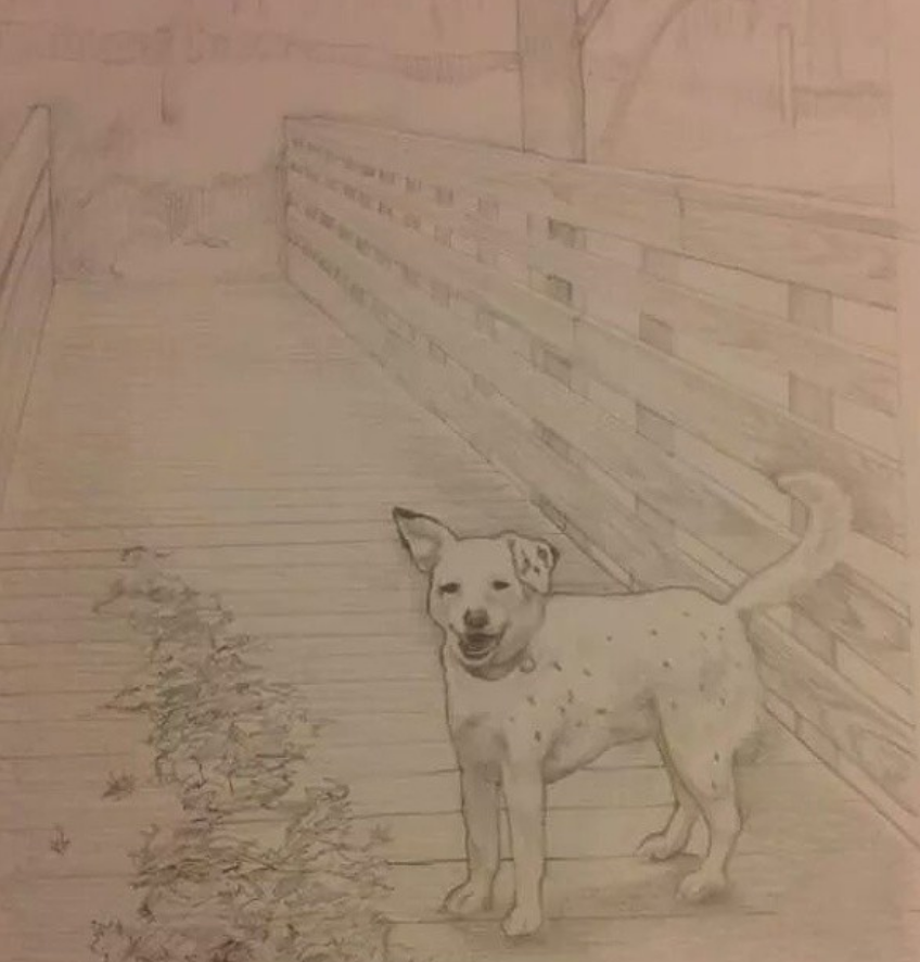 commission_dogdrawing