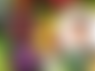 David Stenholtz föreläser på utbildningsdagen 7 oktober