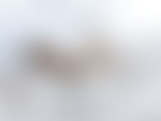 Samband mellan växtbaserad kost och sömnkvalitet