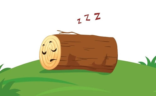 עֵצִים - Trees