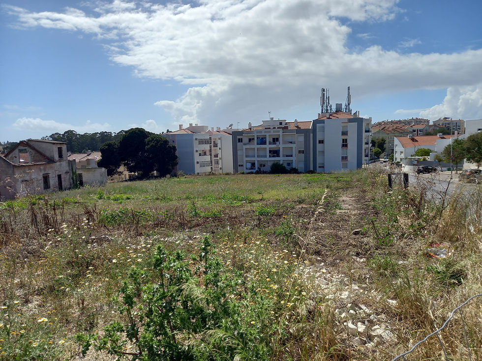 Miniatura: Terreno - Vilanova da Caparica