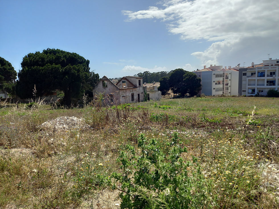 Miniatura: Terreno - Vilanova da Caparica