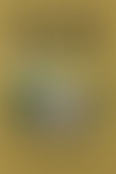 One Man Escaped...Now Available!